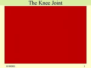The Knee Joint 12182021 1 The Knee Joint