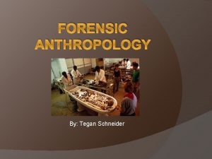 FORENSIC ANTHROPOLOGY By Tegan Schneider Forensic anthropologists identify