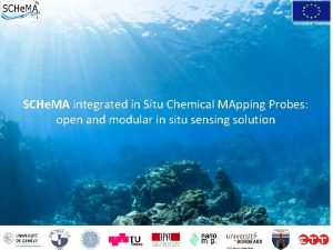 SCHe MA integrated in Situ Chemical MApping Probes