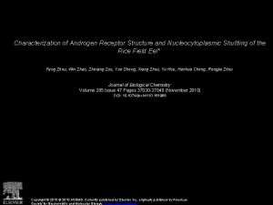 Characterization of Androgen Receptor Structure and Nucleocytoplasmic Shuttling