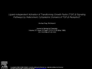 Ligandindependent Activation of Transforming Growth Factor TGF Signaling