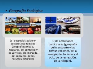 Geografa Ecolgica Es la especializacin en sectores econmicos