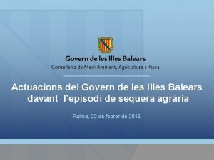 Actuacions del Govern de les Illes Balears davant