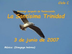 Ciclo C Domingo despus de Pentecosts La Santsima