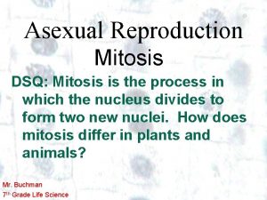 Asexual Reproduction Mitosis DSQ Mitosis is the process