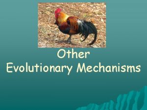 Other Evolutionary Mechanisms Genetic Equilibrium Vs Evolution In