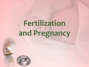 Fertilization and Pregnancy Fertilization Pregnancy is the presence