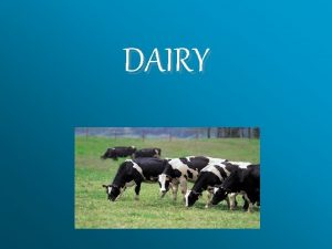 DAIRY The Five Types of Dairy Products Milk