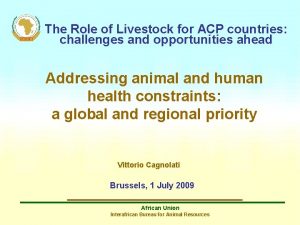 The Role of Livestock for ACP countries challenges