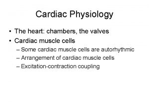 Cardiac Physiology The heart chambers the valves Cardiac