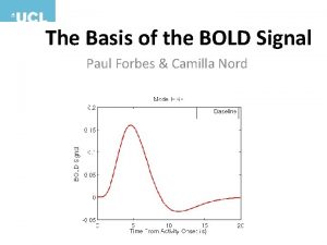 The Basis of the BOLD Signal Paul Forbes