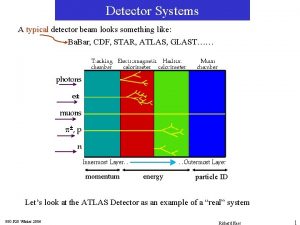 Detector Systems A typical detector beam looks something