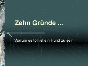 Zehn Grnde Warum es toll ist ein Hund