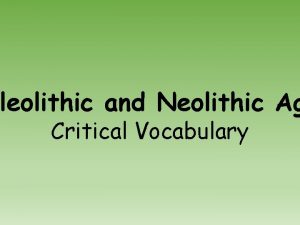 leolithic and Neolithic Ag Critical Vocabulary Artifact An