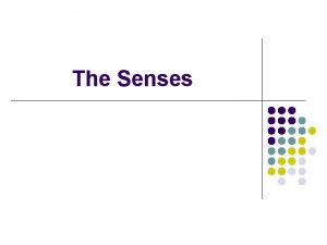 The Senses The Senses l l l Sensory