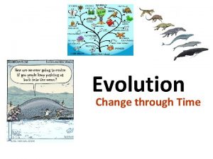 Evolution Change through Time copyright cmassengale 1 What