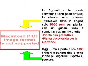 In Agricoltura le piante selvatiche sono poco diffuse