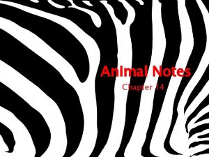 Animal Notes Chapter 14 Animal Kingdom Animals are