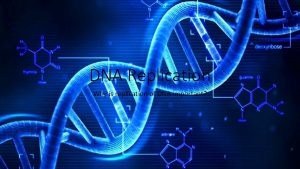 DNA Replication Why is replication of DNA important