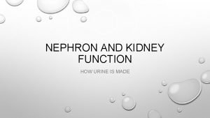 NEPHRON AND KIDNEY FUNCTION HOW URINE IS MADE
