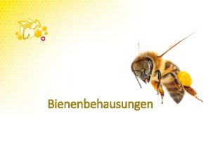 Bienenbehausungen Wie werden Bienen gehalten Bienenhaus Hinterbehandlungskasten Freistand
