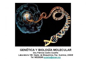 GENTICA Y BIOLOGA MOLECULAR Dra Patricia Coello Coutio