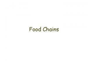 Food Chains What is a Food Chain This