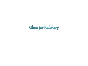 Glass jar hatchery The credit goes to Bhowmick