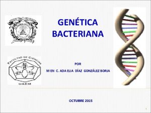 GENTICA BACTERIANA POR M EN C ADA ELIA