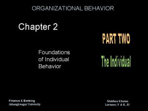 ORGANIZATIONAL BEHAVIOR Chapter 2 Foundations of Individual Behavior
