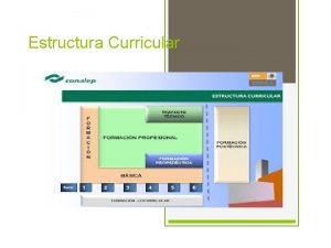 Estructura Curricular Estructura de las carreras La educacin