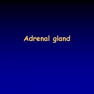 Adrenal gland Hormones of the adrenal cortex the