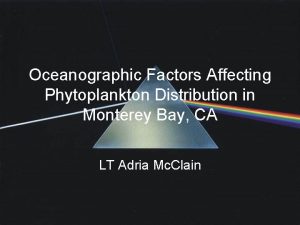 Oceanographic Factors Affecting Phytoplankton Distribution in Monterey Bay