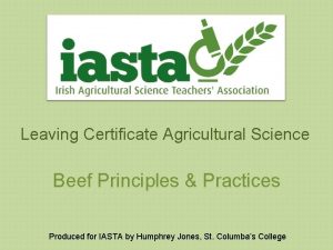 Leaving Certificate Agricultural Science Beef Principles Practices Produced