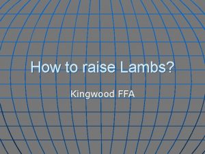 How to raise Lambs Kingwood FFA What do