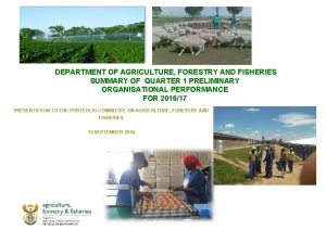 DEPARTMENT OF AGRICULTURE FORESTRY AND FISHERIES SUMMARY OF