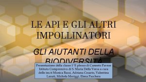 LE API E GLI ALTRI IMPOLLINATORI GLI AIUTANTI