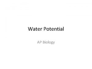 Water Potential AP Biology Day 13 Water Potential