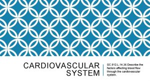 CARDIOVASCULAR SYSTEM SC 912 L 14 36 Describe