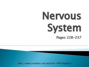 Nervous System Pages 228 237 http www youtube