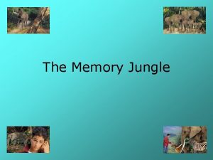 The Memory Jungle Think of your memory as