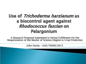 Use of Trichoderma harzianum as a biocontrol agent