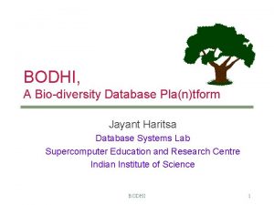 BODHI A Biodiversity Database Plantform Jayant Haritsa Database