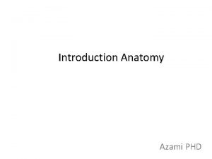 Introduction Anatomy Azami PHD Definition Anatomy From Greek