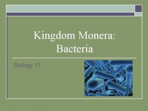 Kingdom Monera Bacteria Biology 11 Prokaryotes Review o