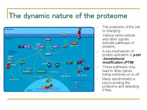 The dynamic nature of the proteome The proteome