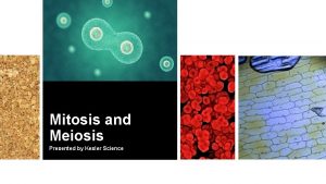 Mitosis and Meiosis Presented by Kesler Science Essential