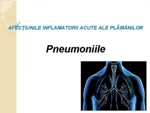 AFECIUNILE INFLAMATORII ACUTE ALE PLM NILOR Pneumoniile Clasificarea