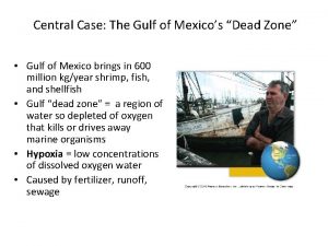 Central Case The Gulf of Mexicos Dead Zone