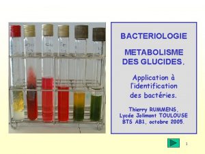 BACTERIOLOGIE METABOLISME DES GLUCIDES Application lidentification des bactries